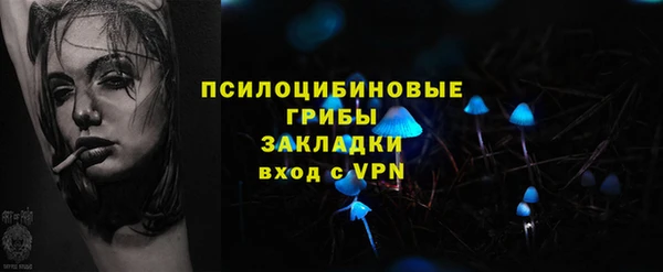 прущие грибы Мегион