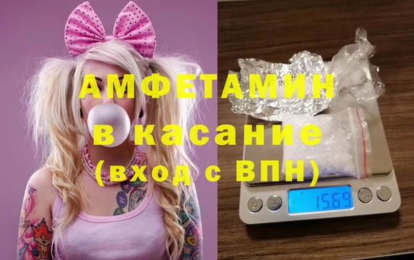 прущие грибы Мегион