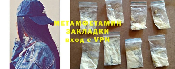 прущие грибы Мегион